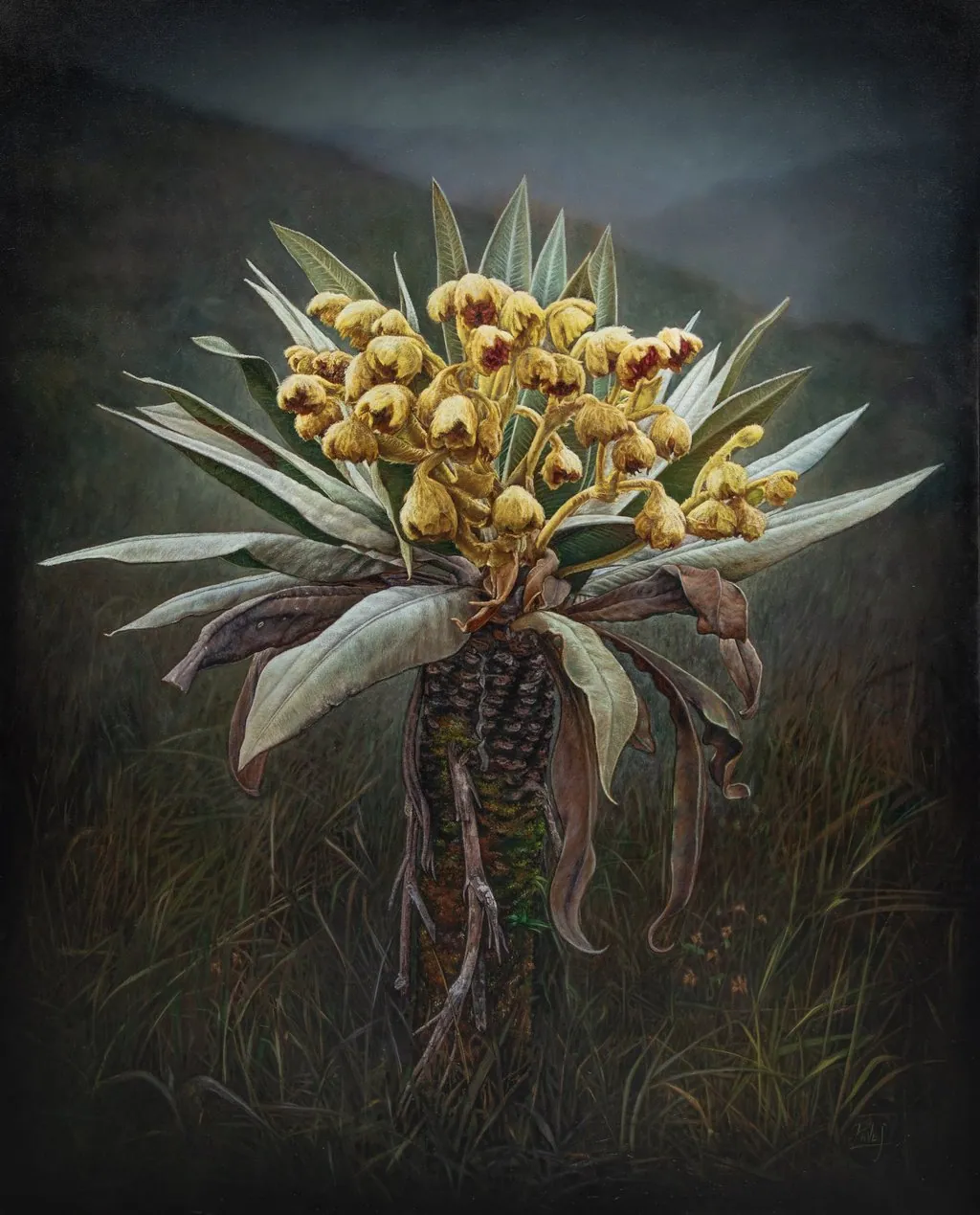 Manantial, frailejón en flor. Óleo sobre lienzo, 160 × 130 cm, 2025.