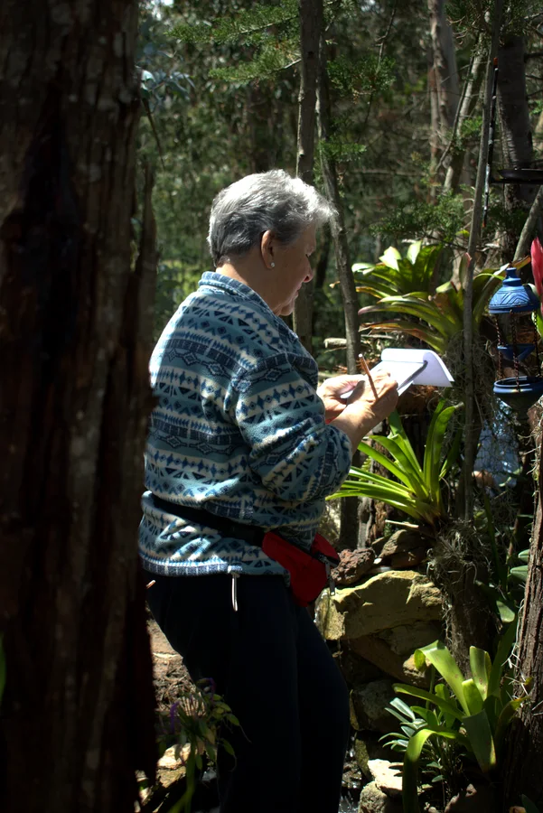 Participante observando y tomando notas entre las bromelias del bosque.